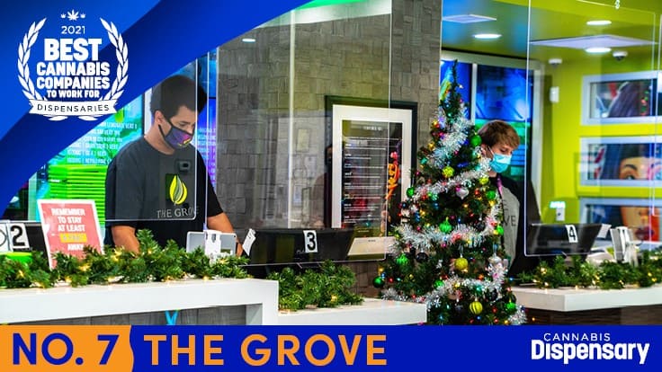 No. 7 Best Cannabis Companies to Work For - Dispensaries: The Grove Pivots Together